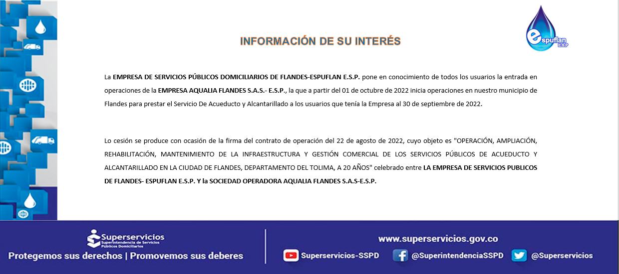 plantilla